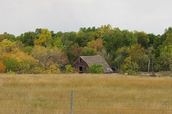 55d1029003e7676a656db749.jpg - Fall colors in SW Saskatchewan with rustic old barn, taken September 2016.
