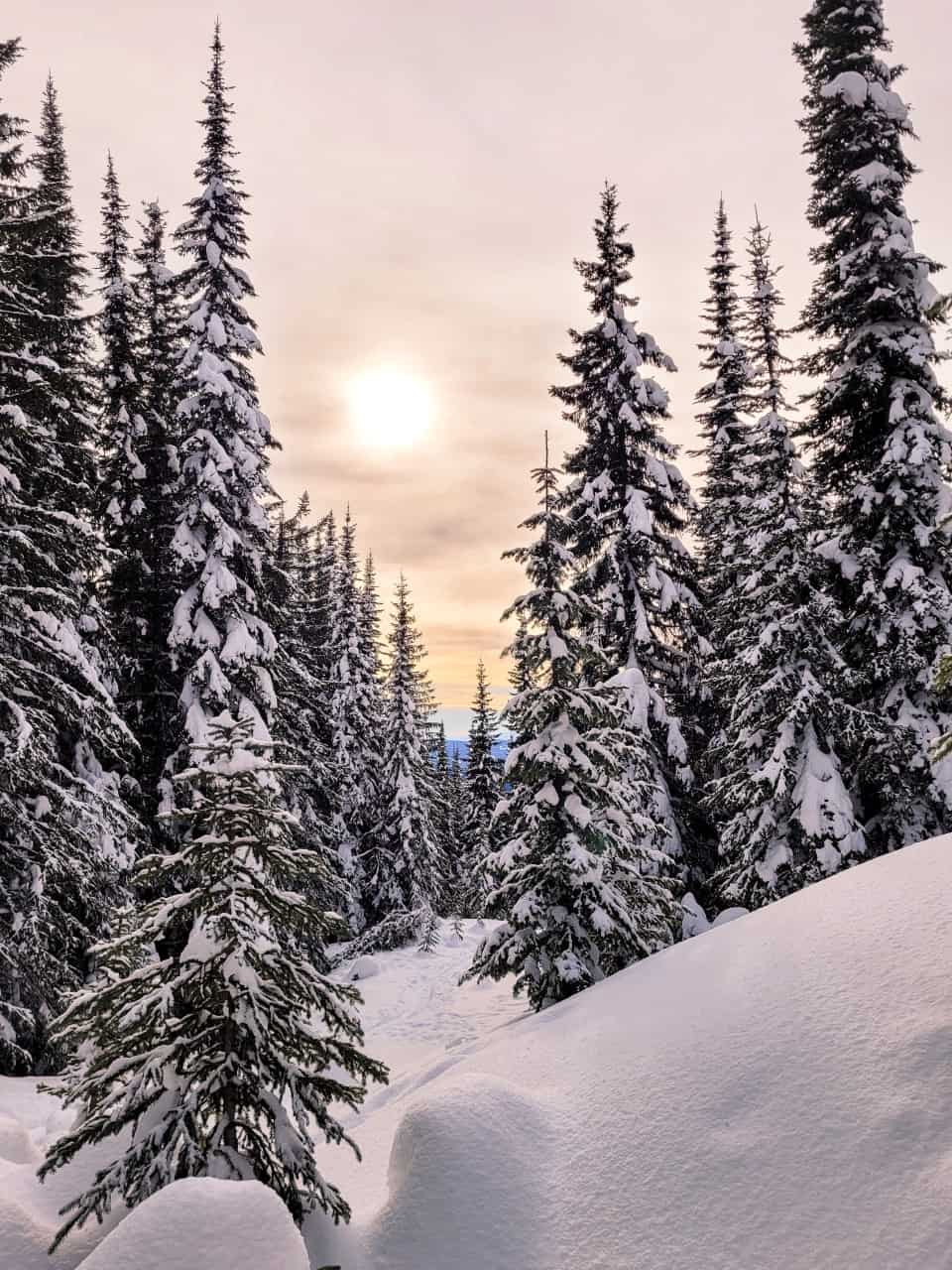 Silverstar Provincial Park - Snowshoeing at Silverstar Provincial Park