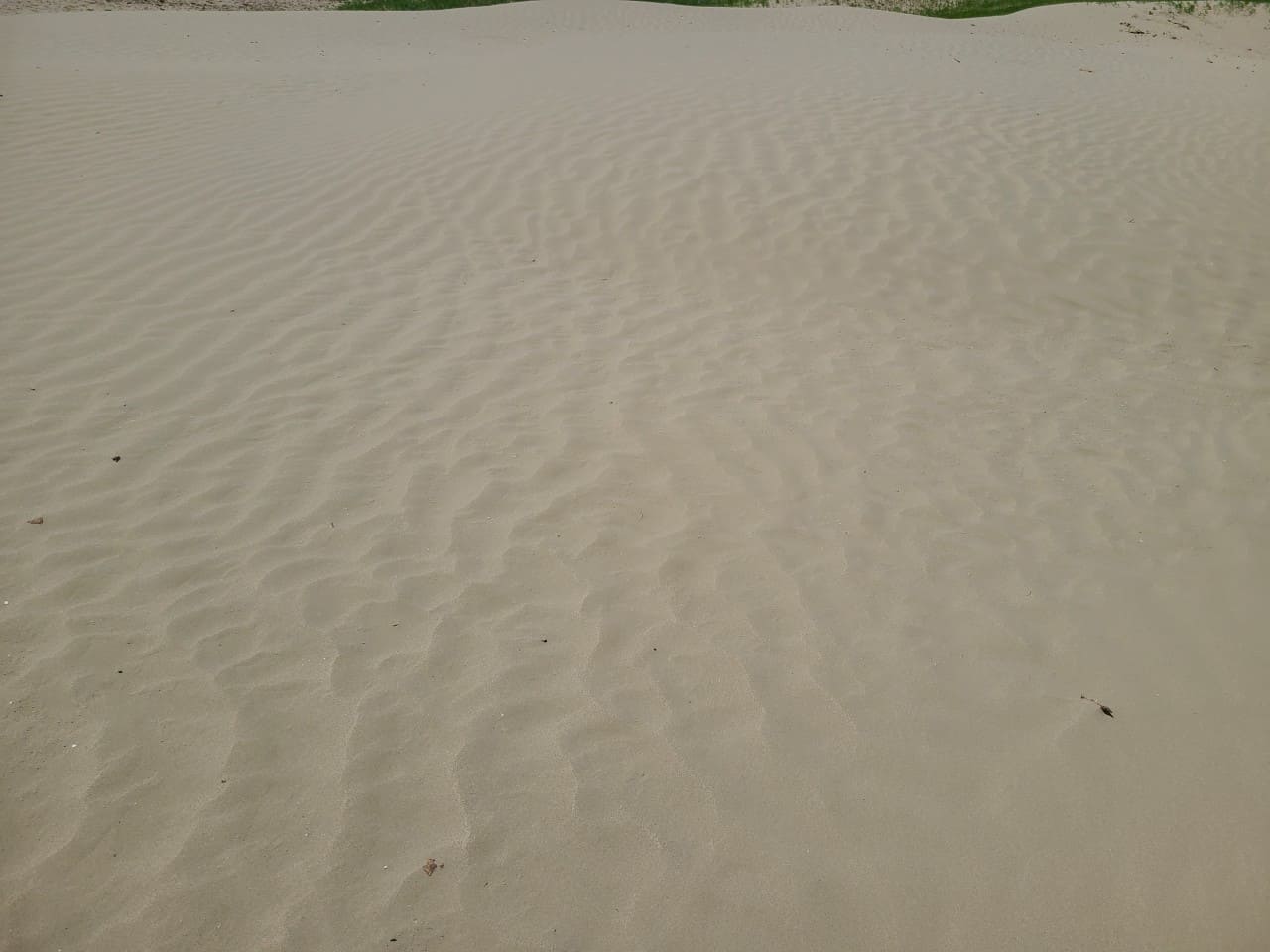 The Great Sandhills  - It's so soft!