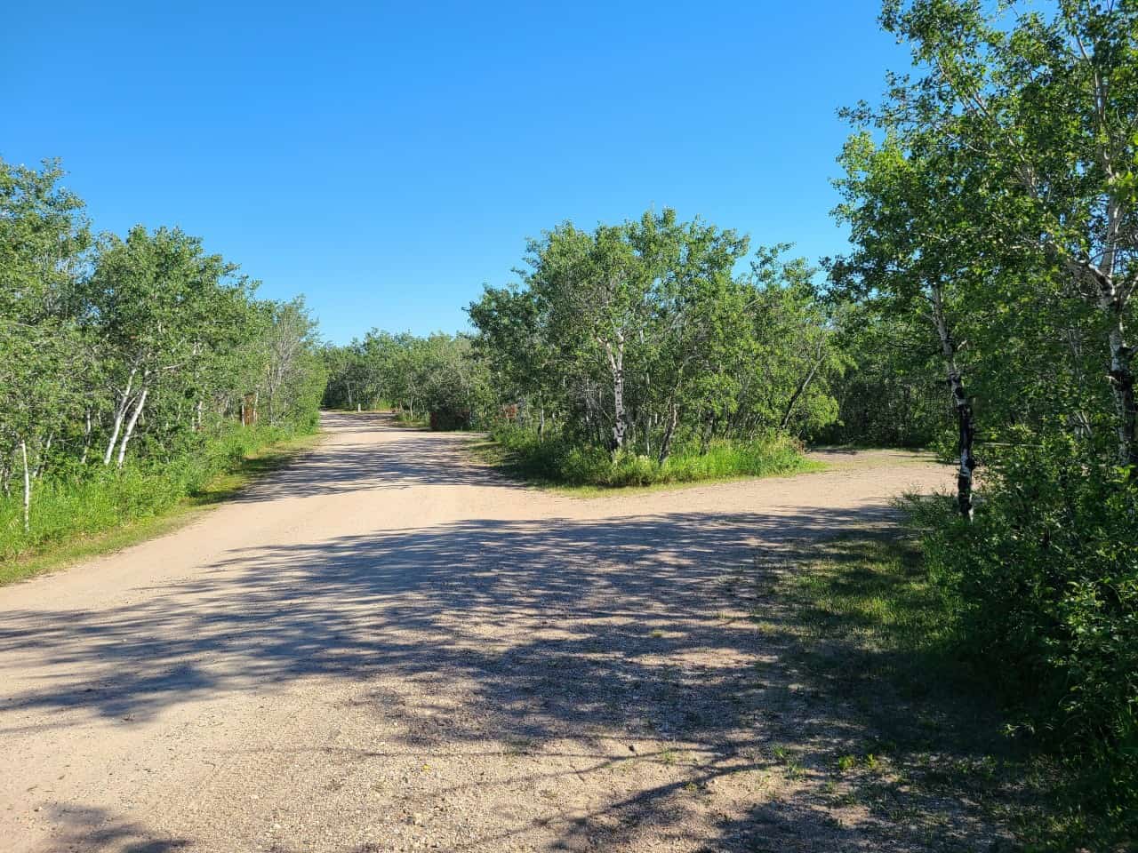 Dillberry Lake Campground 