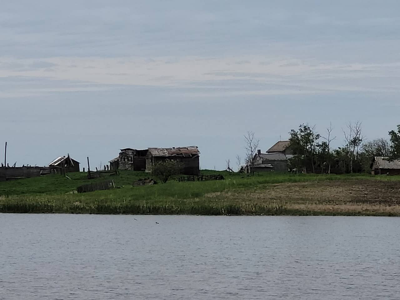 Cary Horning Kelliher, Saskatchewan 20220629