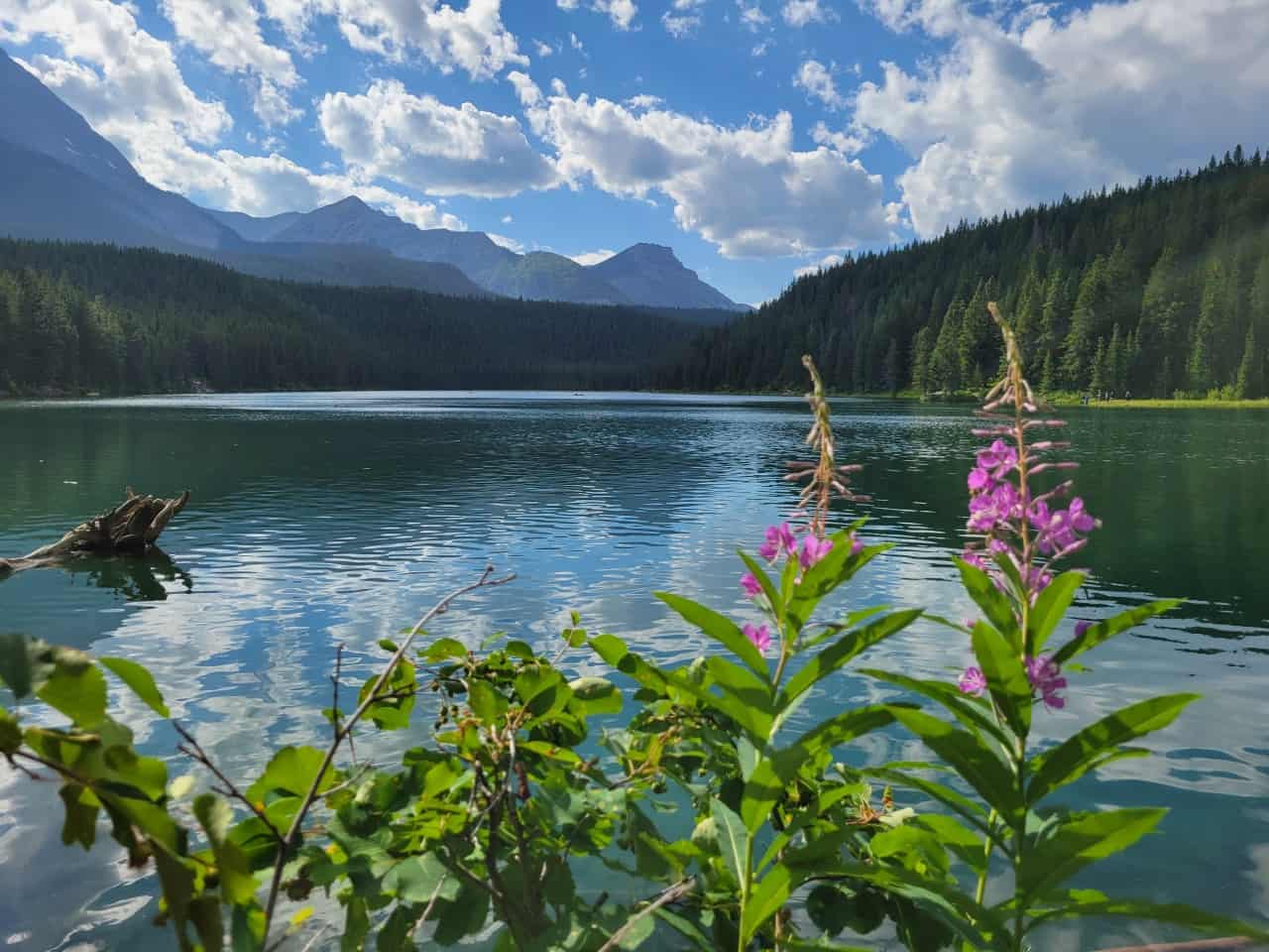 Chinook Lake Provincial Recreation Area is a Summer Road Trip Ideas Near Calgary Alberta Canada.