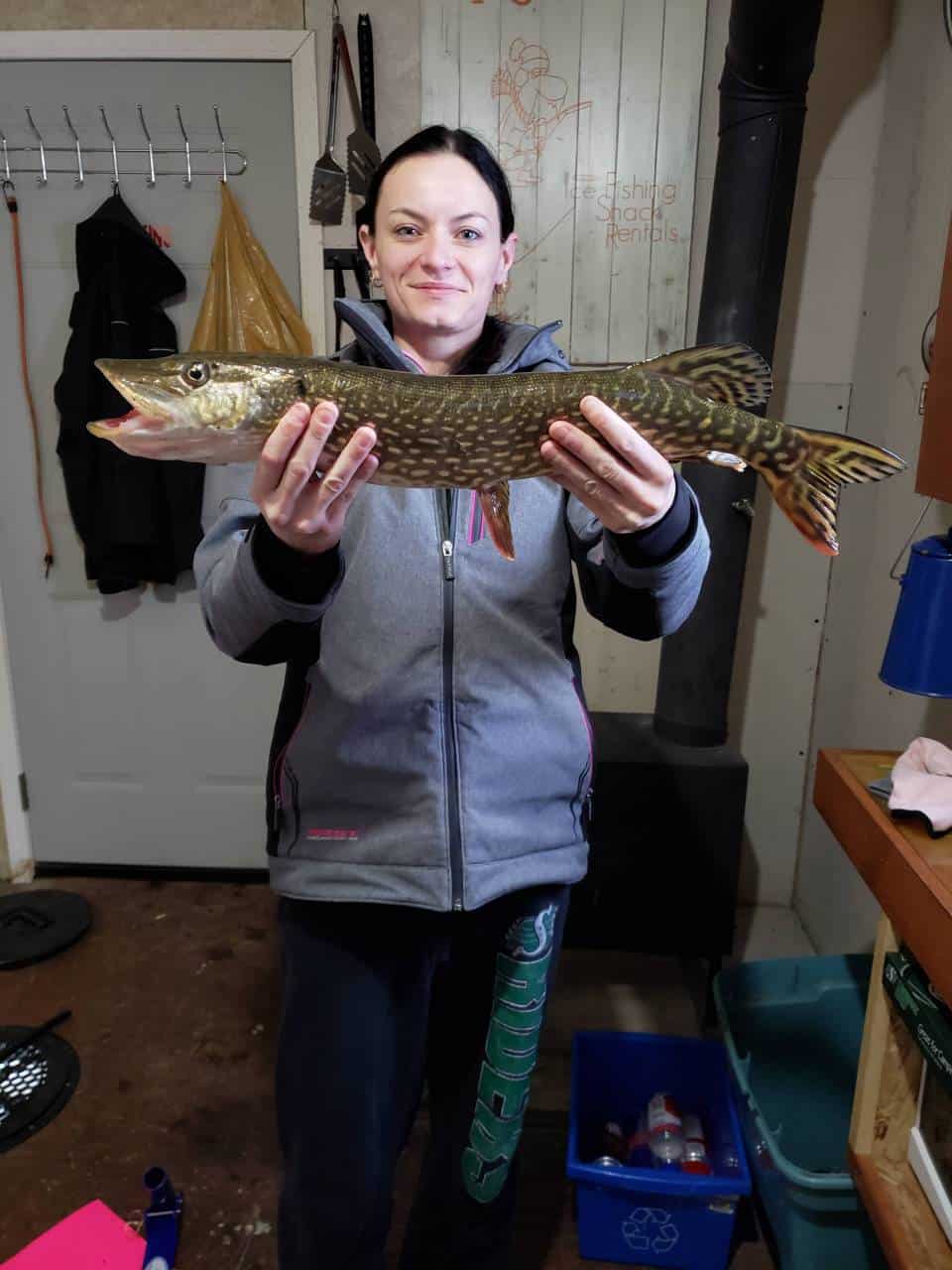 Gull Lake, AB - A northern pike from an over night ice fishing trip
