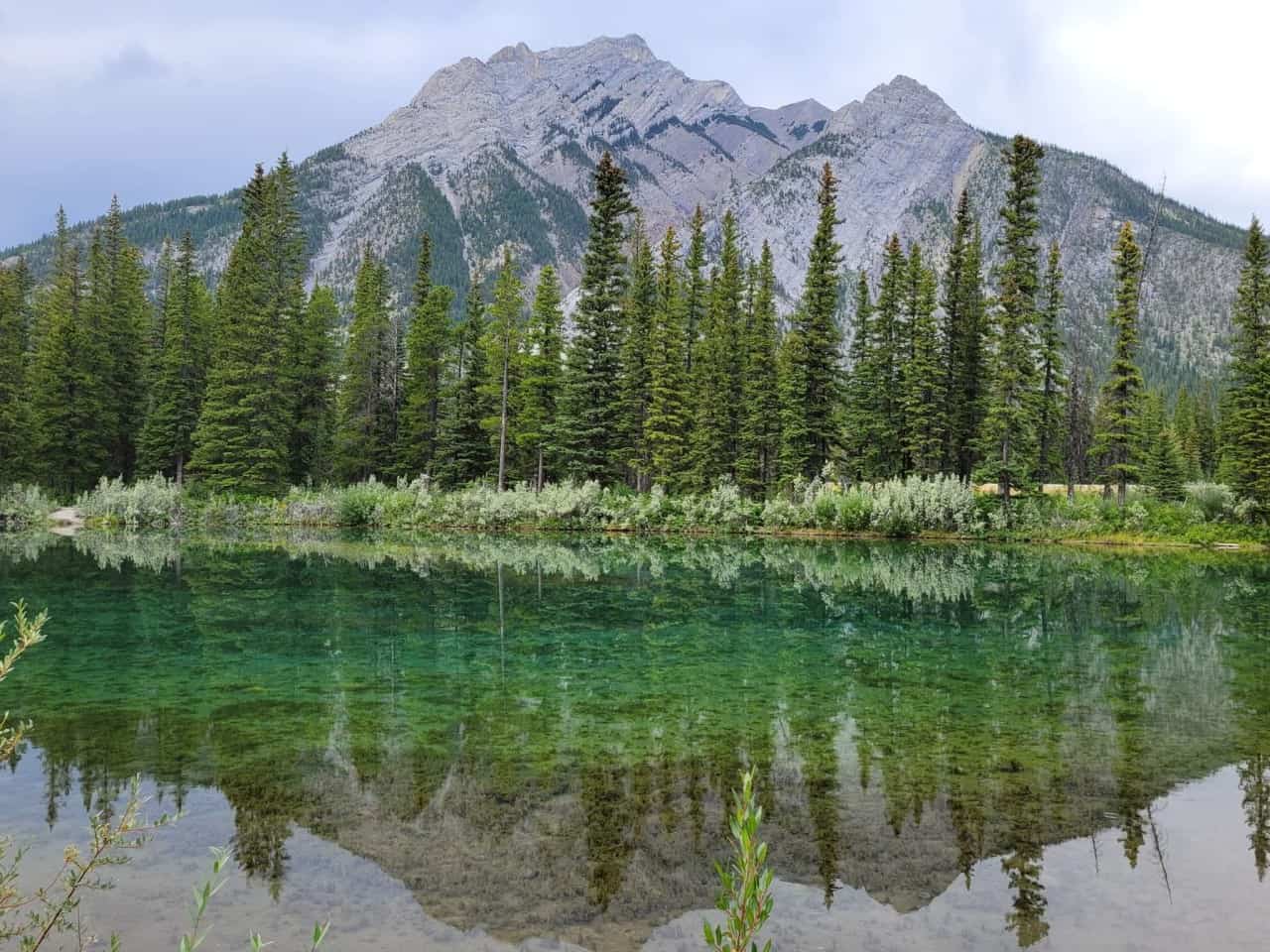 The reflections of the forests and mountain in the Bow Valley Provincial Park in Alberta Canada.