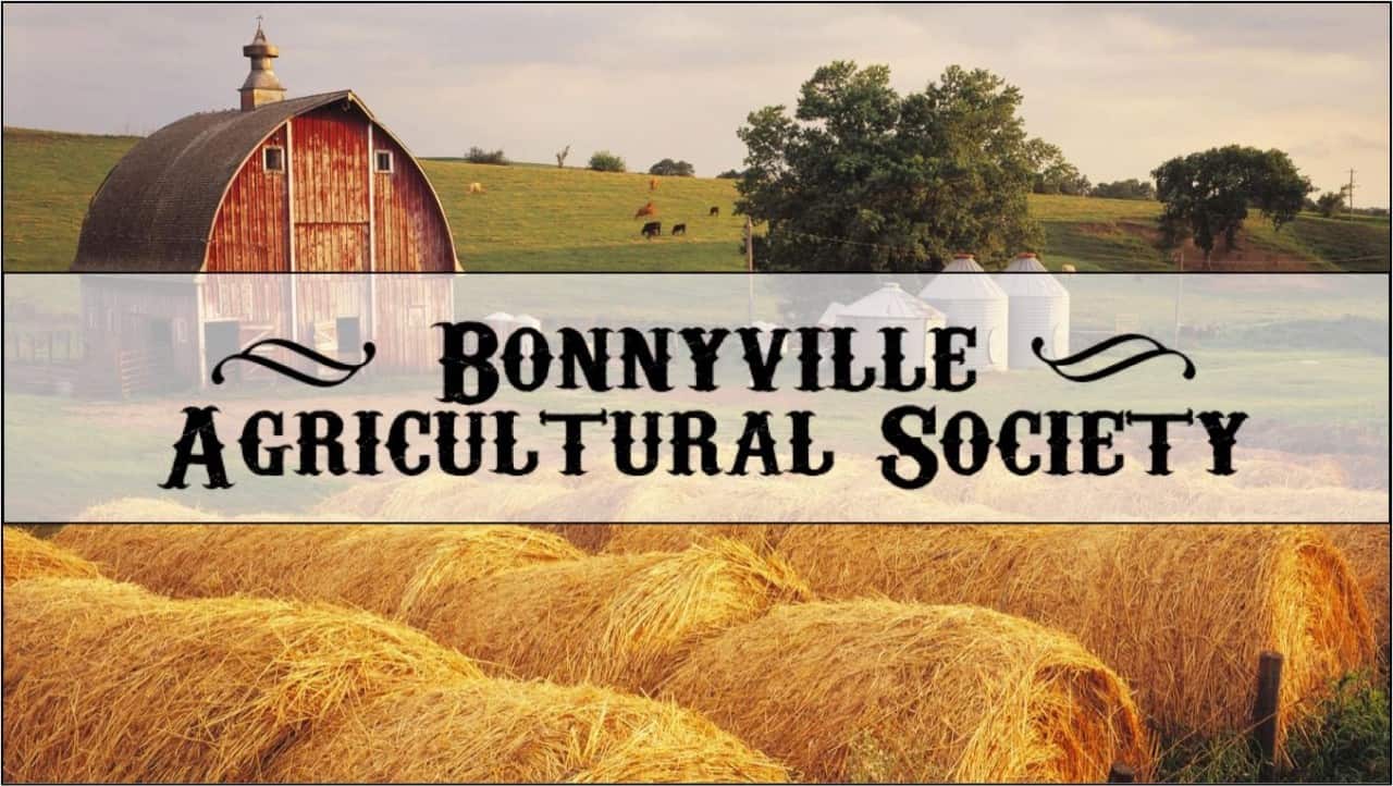 Bonnyville Fall Fair 2022.jpg