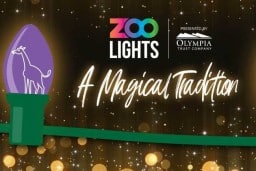 ZOOLIGHTS_2022_WEBHeader.jpg