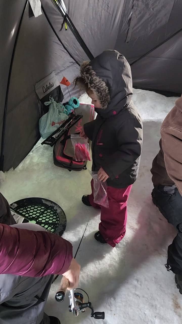 Ice fishing bait with the little one at the Buffalo Lake Fishing Derby near Rochon Sands Alberta Canada.