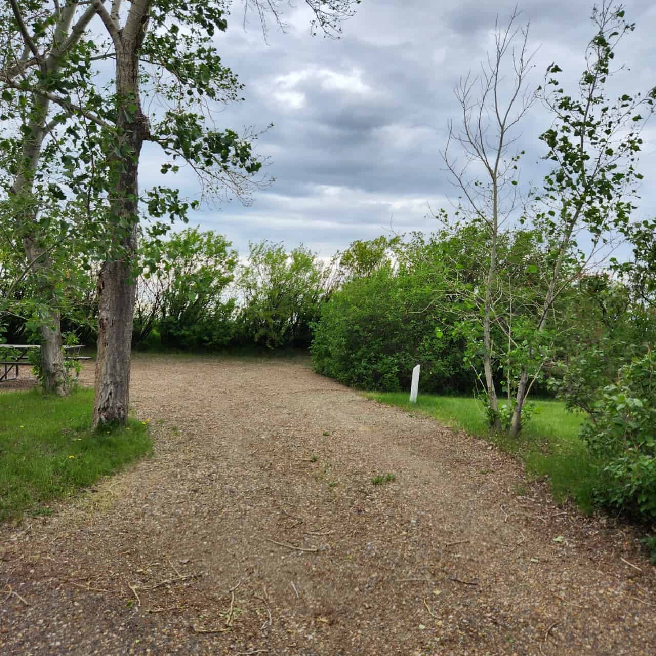 Camping Available at Cavan Lake in Cypress County - Nice decent sized lots available for camping. The Cypress County has so much to explore, this would be a great Basecamp location. 