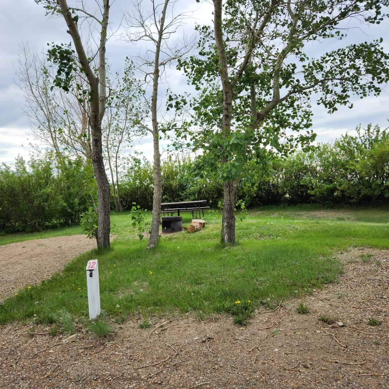 Camping in Cypress County at Cavan Lake - Campsites all have picnic tables and fire pits available. Some are fantastic for tents as they have lovely soft grassy areas