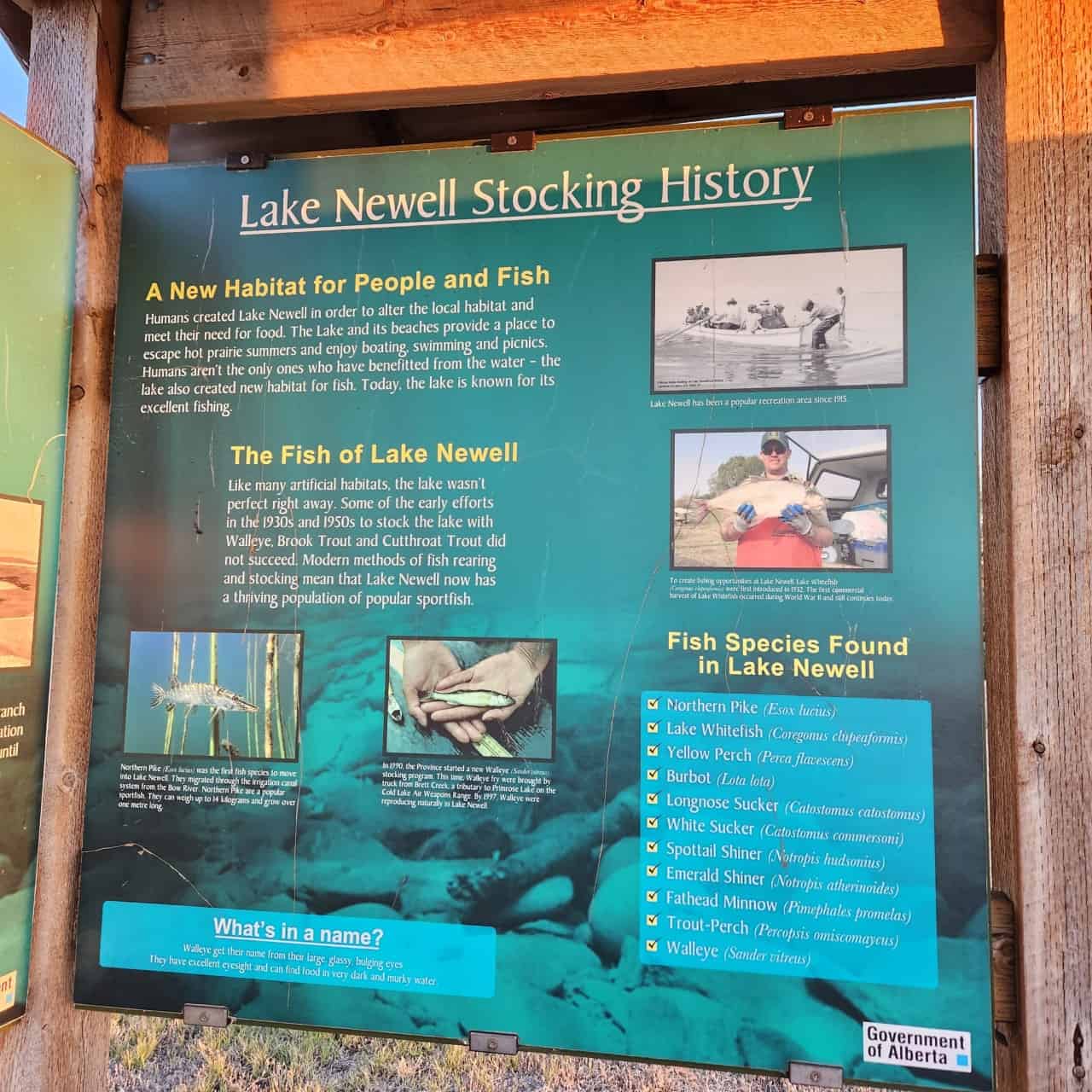 Andrea Horning Fish Species in Lake Newell Alberta