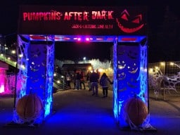 Calgary Pumpkins After Dark.jpg