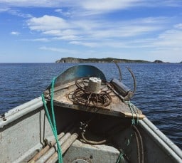Twillingate Newfoundland Boat Ride in the Harbour 