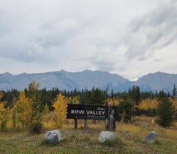 Bow Valley Provincial Park- Kananaskis Country Alberta Canada 
