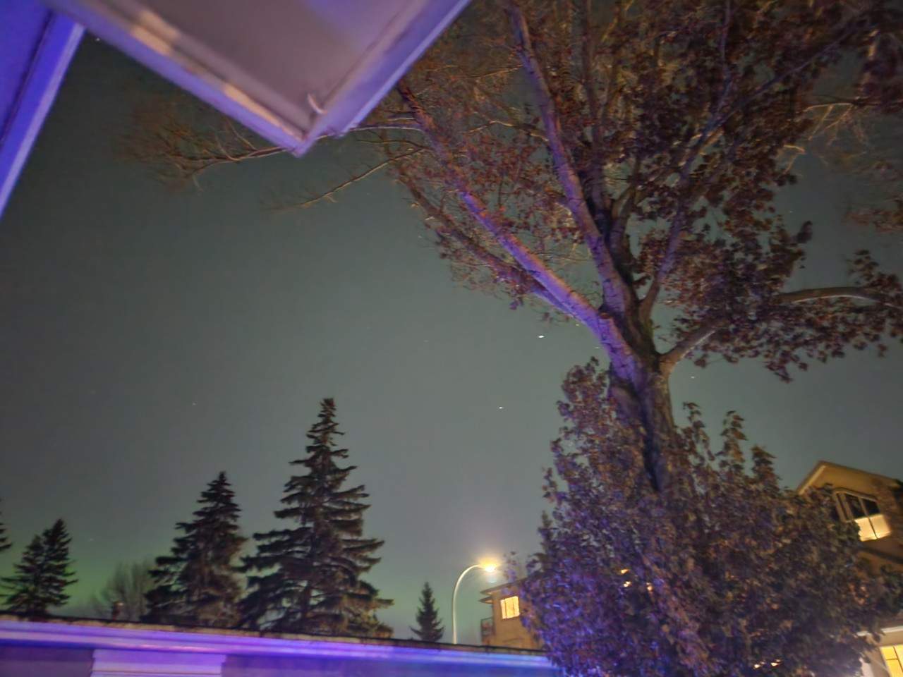 Northern Lights Starting in Calgary Alberta Canada  - I was sitting on my porch and noticed the sky had a slight glow to it. I flicked night mode on my camera and snapped a quick picture to see if what I seeing was really the Northern Lights. As you can see over my neighbours house, there is a definite green haze happening. That's when I sent a text to someone I know is out of the city and asked if they could see them. Yup! Start the car! Lady Aurora is awake!