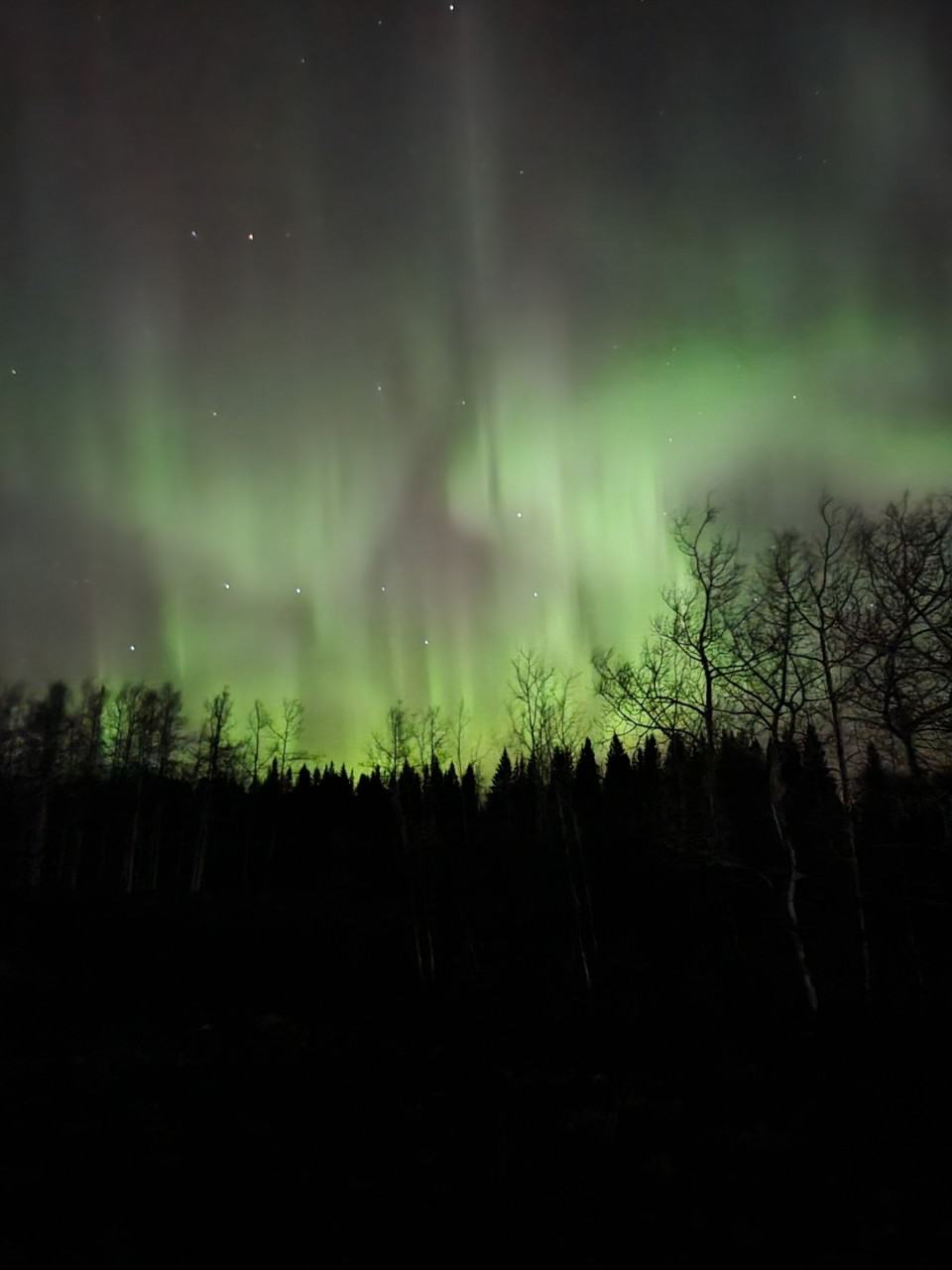 Northern Lights November in Canada - November kicks off Northern Lights season in Canada!! Keep your eyes on the news for any forcasted solar flares, then keep your eyes on the sky. 