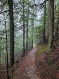 Foggy Forest Hike to Bear Creek Falls 