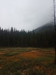Ochre Meadow at the Paint Pots - Kootenay National Park British Columbia 2023-11-28