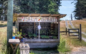Vancouver Island Fruit Stand